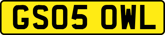 GS05OWL