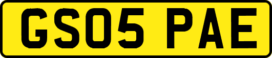 GS05PAE