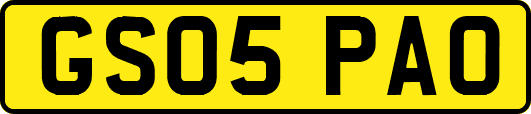GS05PAO