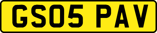 GS05PAV