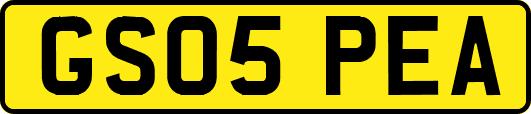 GS05PEA