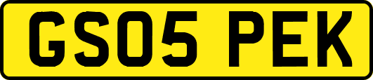GS05PEK