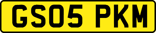 GS05PKM