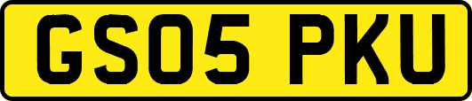 GS05PKU