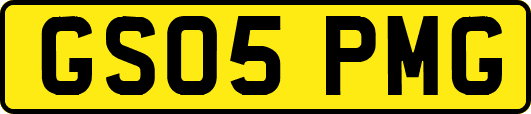 GS05PMG