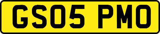 GS05PMO