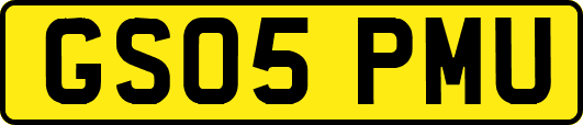 GS05PMU