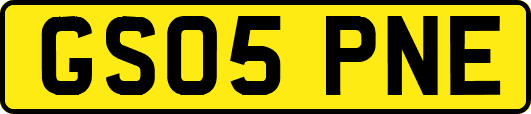 GS05PNE