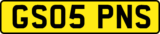 GS05PNS