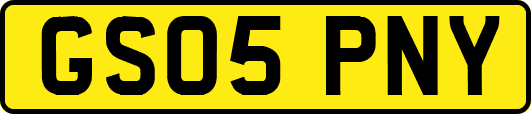 GS05PNY