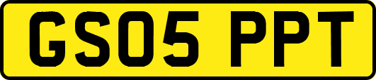 GS05PPT