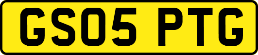 GS05PTG