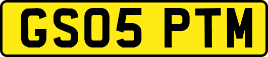 GS05PTM