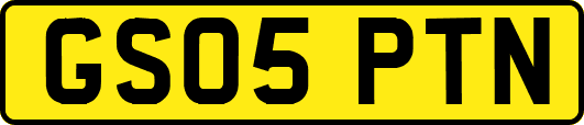 GS05PTN