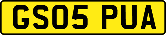 GS05PUA