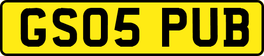 GS05PUB