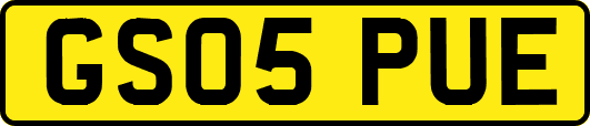GS05PUE