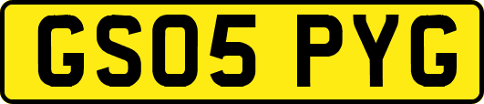 GS05PYG