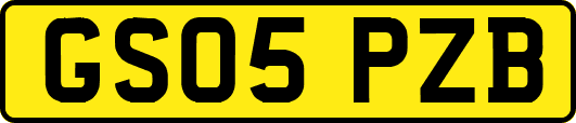 GS05PZB