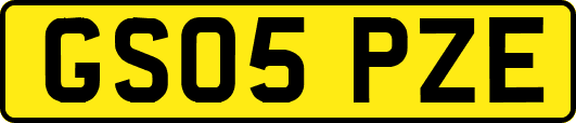 GS05PZE