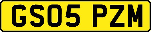 GS05PZM