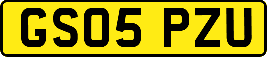 GS05PZU
