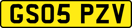 GS05PZV