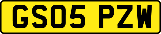 GS05PZW
