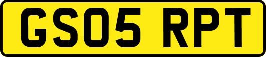 GS05RPT