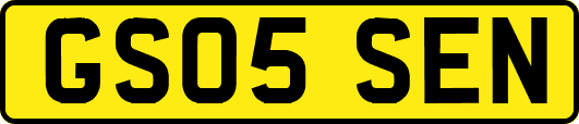GS05SEN