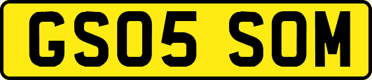 GS05SOM