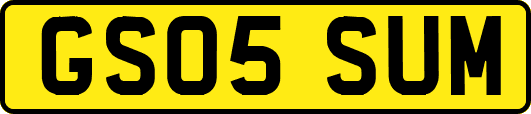GS05SUM