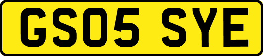 GS05SYE