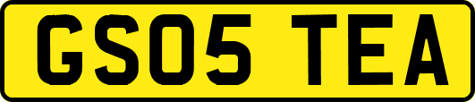 GS05TEA