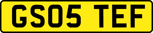 GS05TEF
