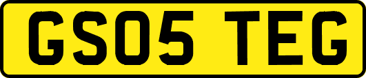 GS05TEG
