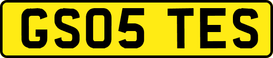 GS05TES