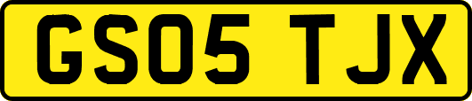 GS05TJX