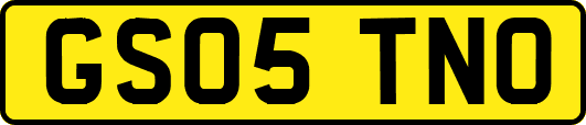 GS05TNO