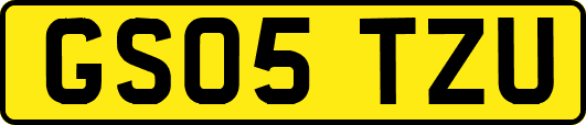 GS05TZU