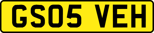 GS05VEH