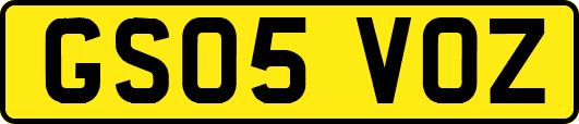 GS05VOZ