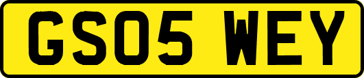 GS05WEY
