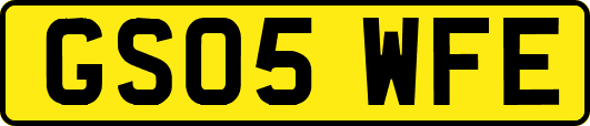GS05WFE