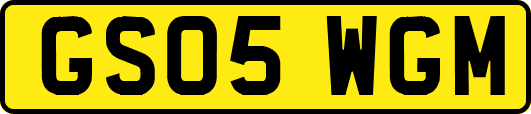 GS05WGM