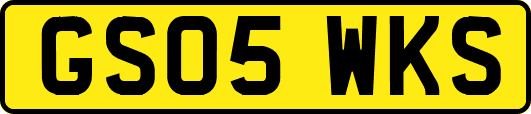 GS05WKS