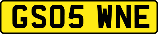 GS05WNE