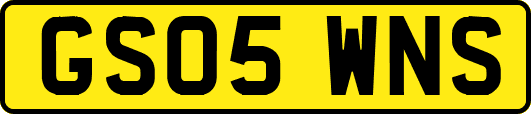 GS05WNS