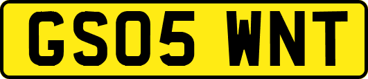 GS05WNT