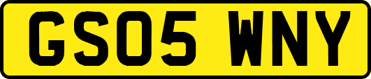 GS05WNY